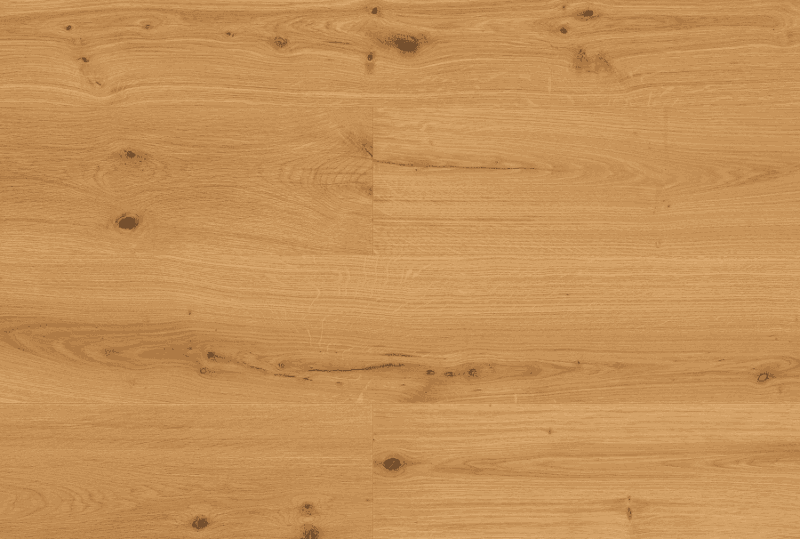 marigold plank