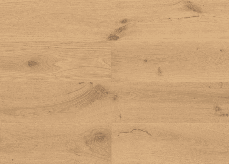 shell plank