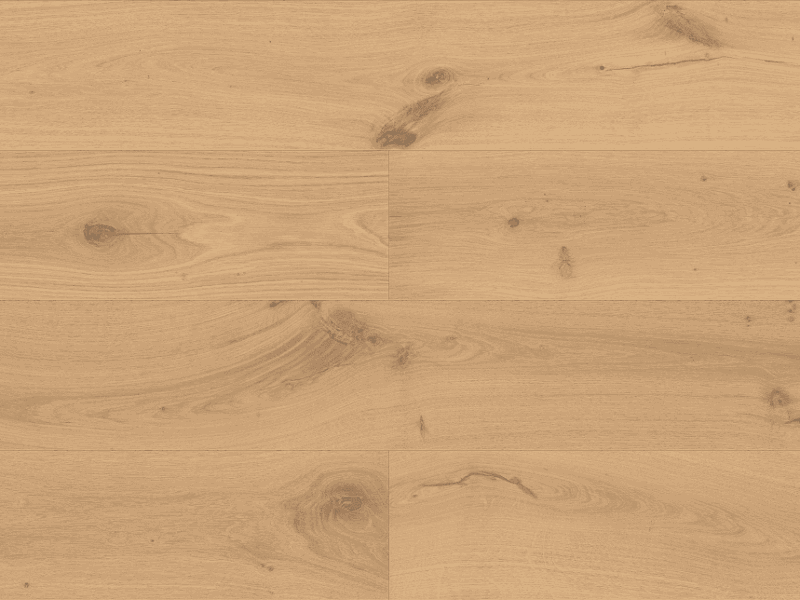 shell plank